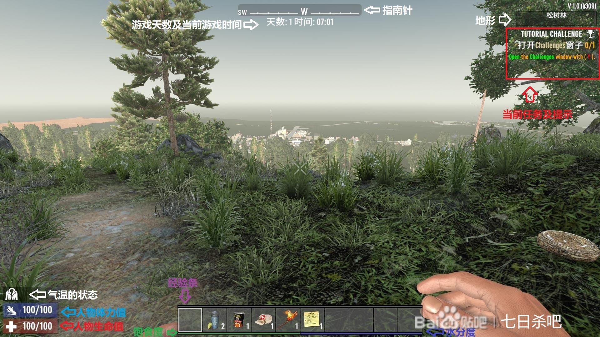 空洞骑士 年度版 截图8